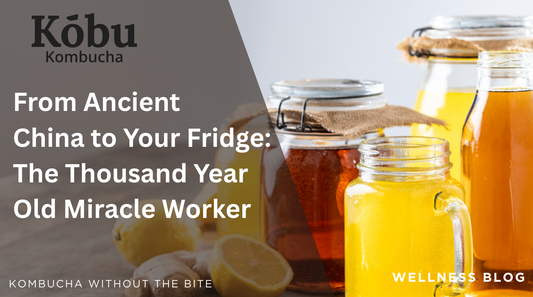 From Fermented Tea History to Functional Wellness: How Kōbu Supports Gut Health Naturally