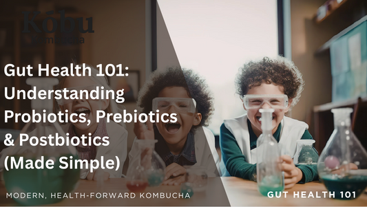 Gut Health 101: Understanding Probiotics, Prebiotics & Postbiotics (Made Simple)