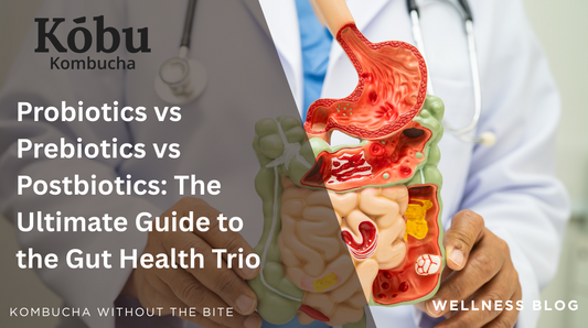 Probiotics vs Prebiotics vs Postbiotics: The Ultimate Guide to the Gut Health Trio