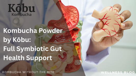 Kombucha Powder by Kōbu | Full Symbiotic Gut Health Support