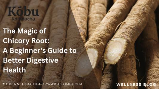 Chicory Root Benefits for Better Digestive Health
