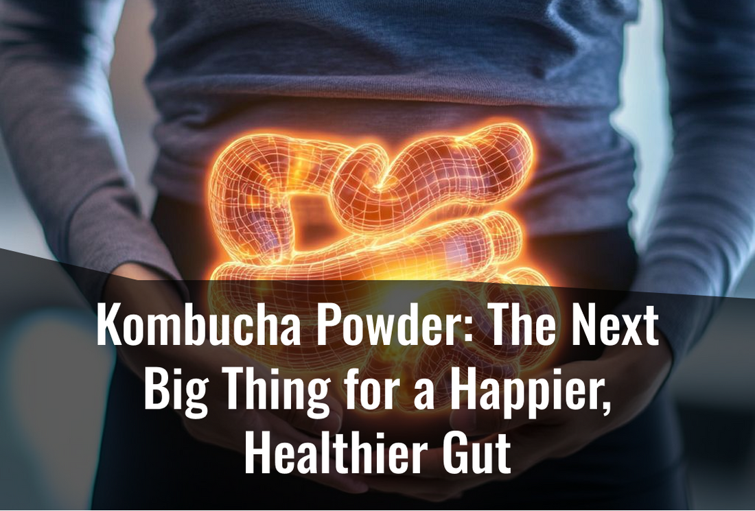 Kombucha Powder: The Next Big Thing for a Happier, Healthier Gut