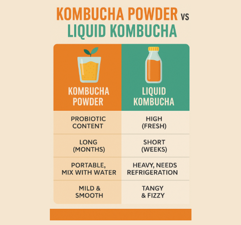 Kombucha Powder vs Liquid Kombucha: Which is Better?