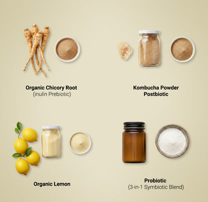 Kōbu Kombucha Powder – Lemon Ginger (15 Sticks) | GLP-1 Support | Pre + Pro + Postbiotic