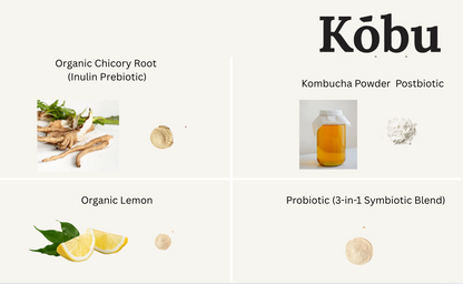 Kōbu Kombucha Powder – Watermelon Citrus & Lemon Ginger (30 Sticks) | GLP-1 Support | Pre + Pro + Postbiotic