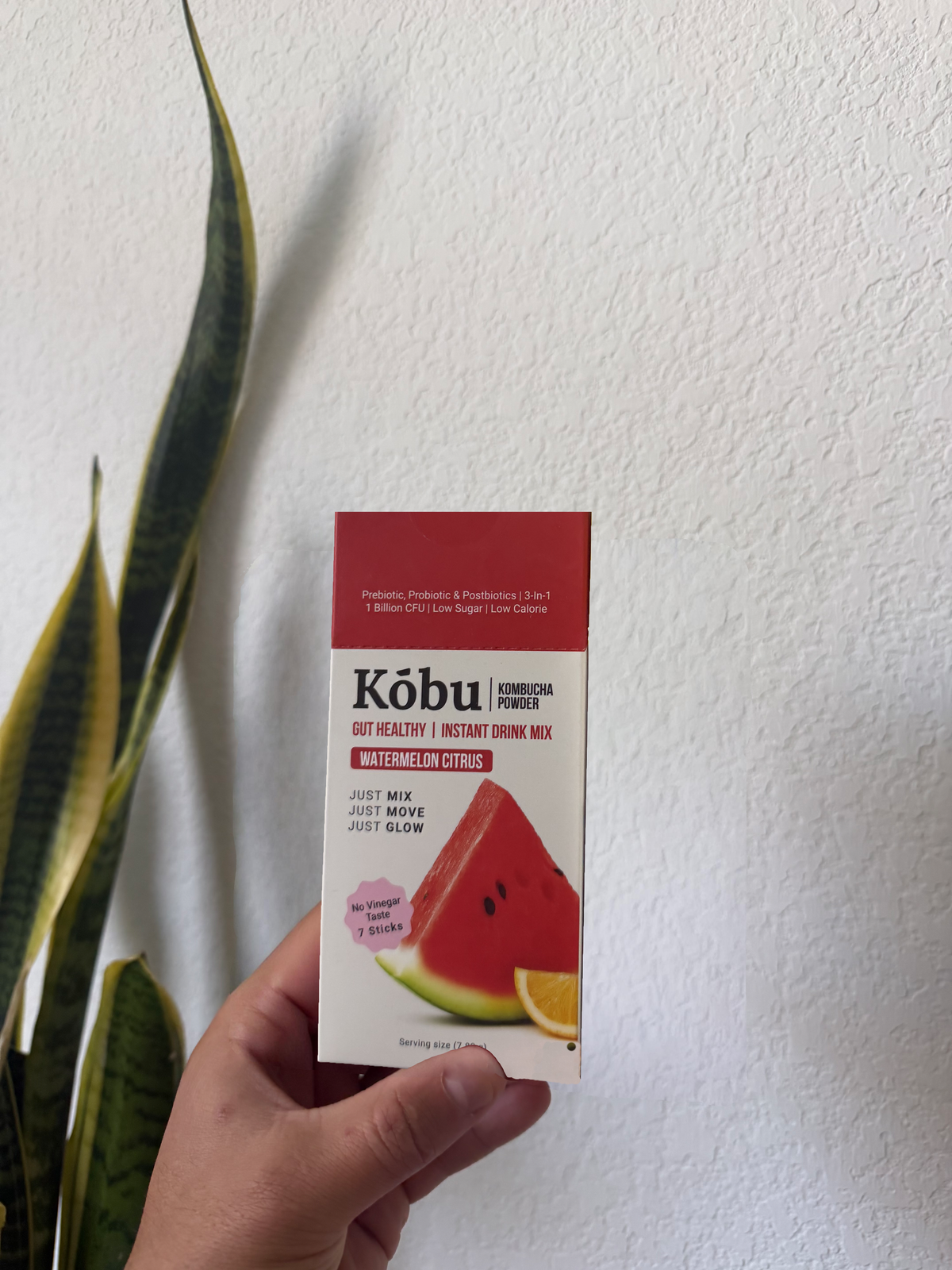 Kōbu Kombucha Powder Box – Watermelon Citrus
